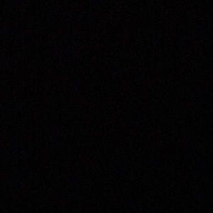 Meet your Posher, Audrey